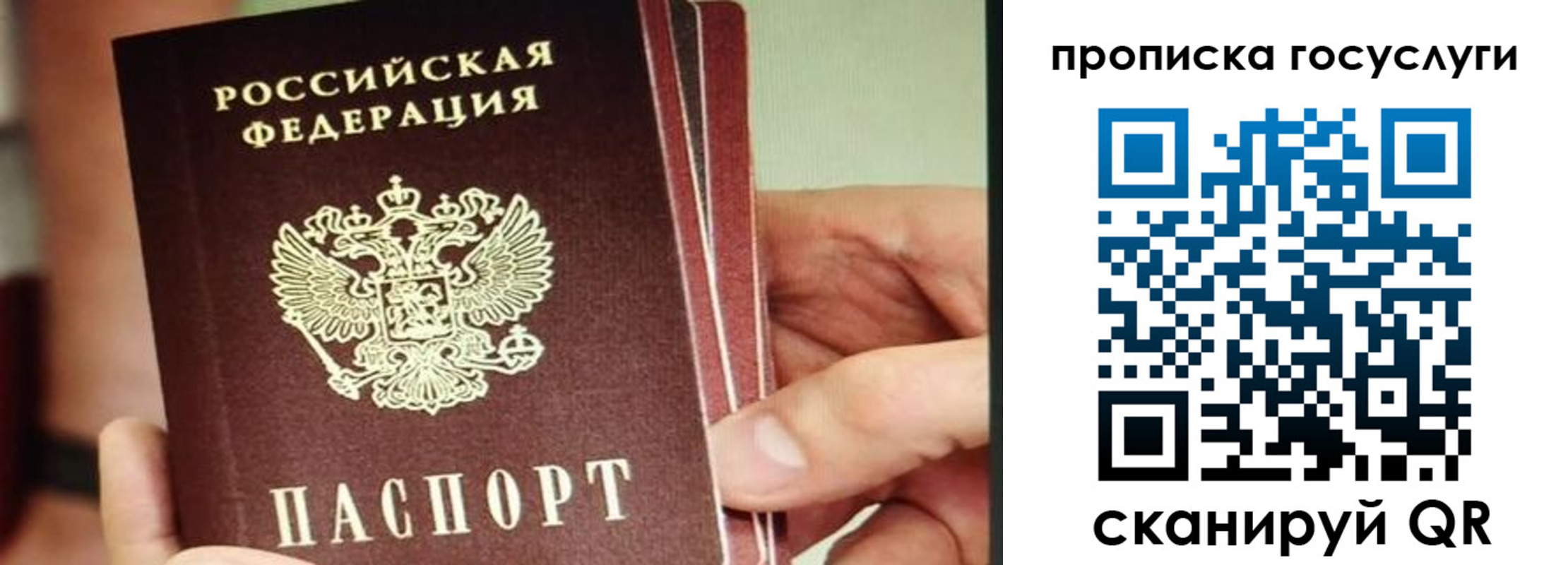 пропишу в квартире в Дорогобуже